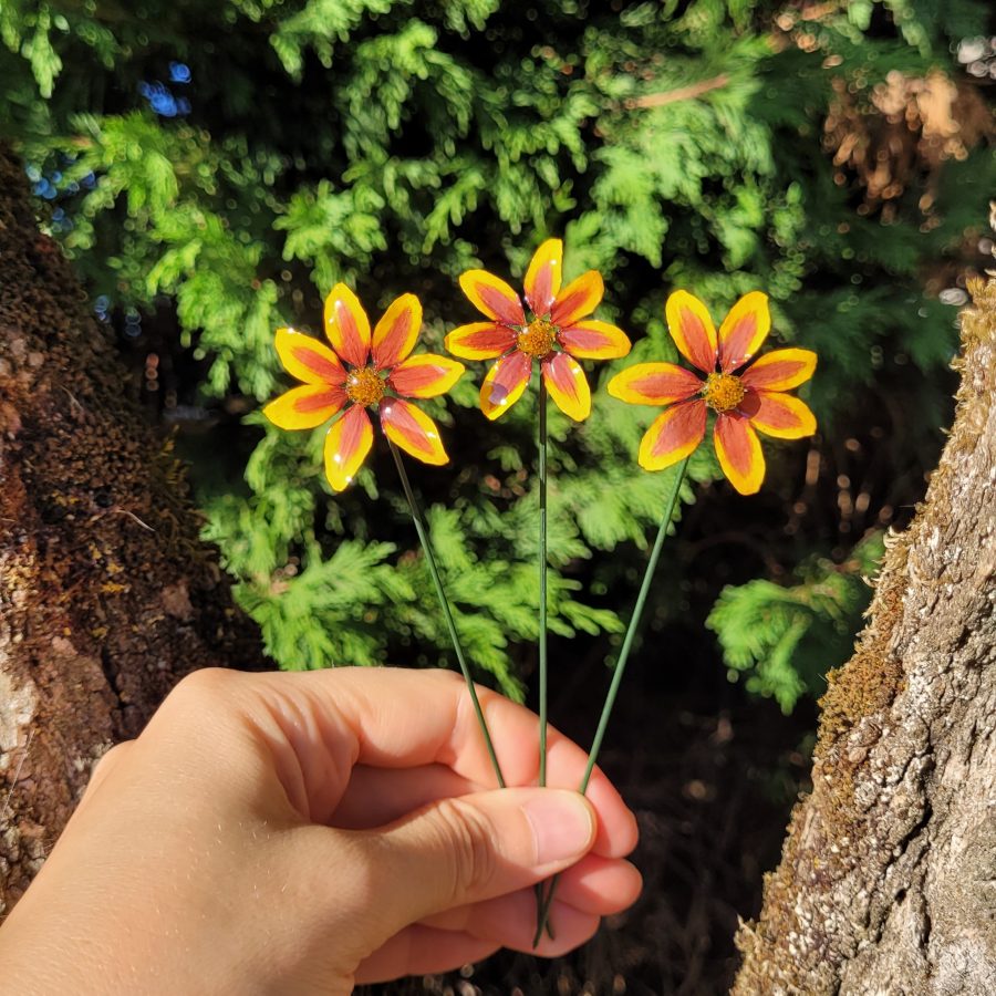 Fleur de Bidens à piquer