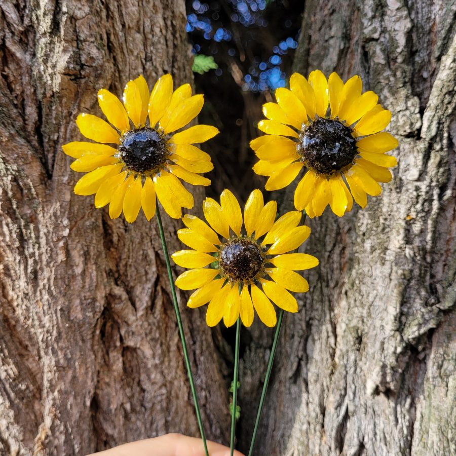 Tournesol à piquer