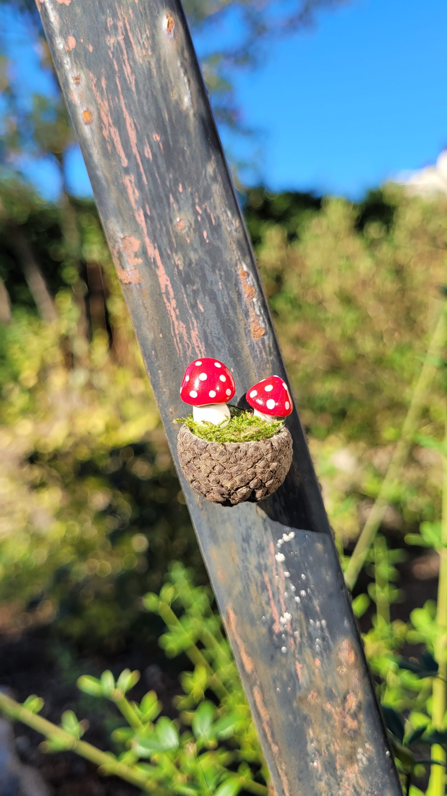Magnet Champis rouge – Image 2