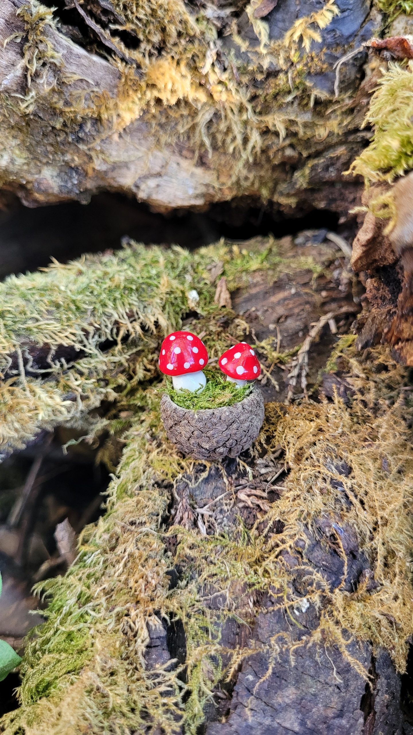 Magnet Champis rouge – Image 6