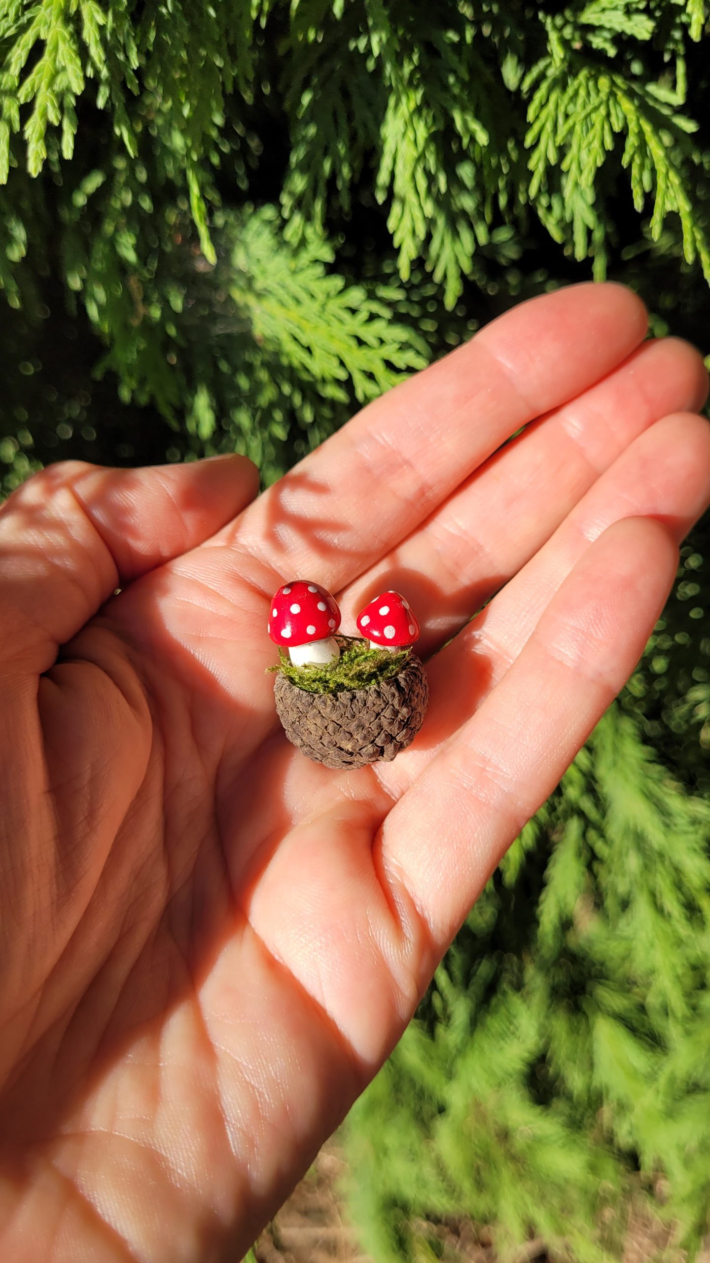 Magnet Champis rouge – Image 5